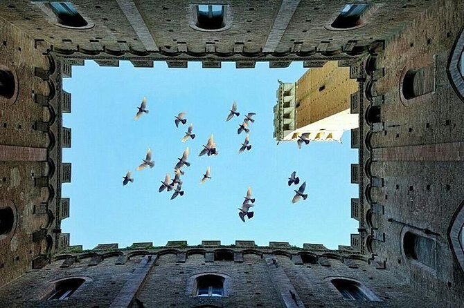 Tuscany Countryside including Wine Tasting & Lunch - Private Day Trip from Rome - Exploring Tuscany in Comfort: A Detailed Look at the Private Day Trip from Rome