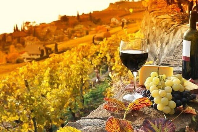 Tuscany Day Trip from Florence: Siena, San Gimignano, Pisa and Lunch at a Winery - Final Thoughts