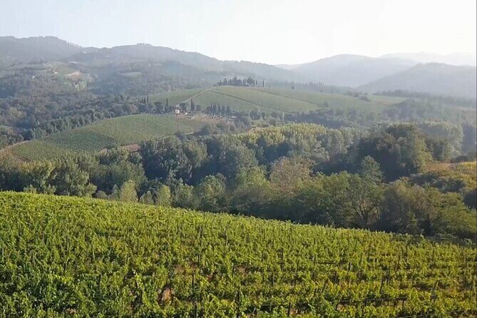 Tuscany Grand Tour from Florence: Pisa,Chianti Wine Tasting,Siena - Discovering Siena’s Medieval Magic