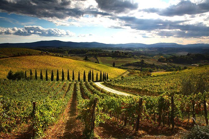 Tuscany Hiking Tour from Siena Including Wine Tasting - Practical Tips for the Tour