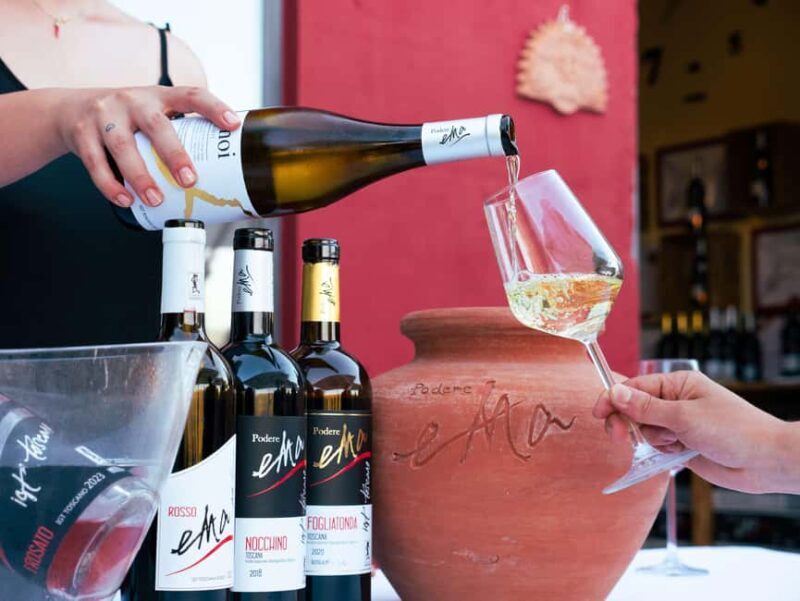 Tuscany: Immersive Winery + tasting (4 wines) - The Itinerary: What You Can Expect