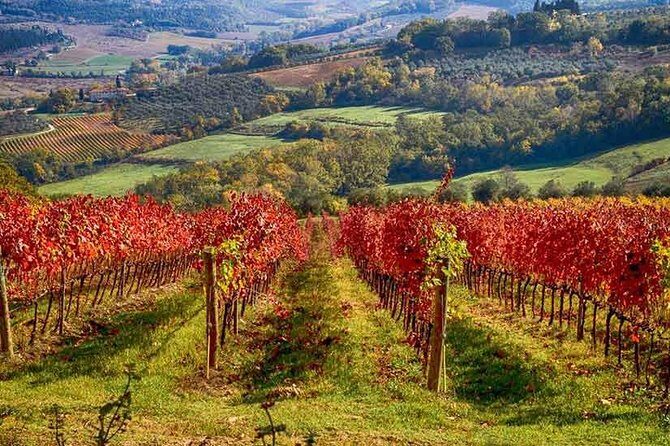 Tuscany Landscapes, Castels & Chianti Wine District - Final Thoughts