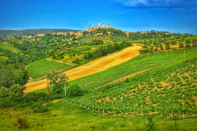 Tuscany Vespa Tour from Florence with Wine Tasting - Practical Details and What to Expect