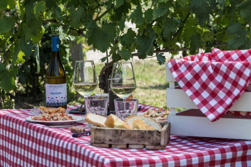 Tuscany: White Wine Tasting with Aperitivo at a Local Winery - The Experience in Practice: A Typical Visit