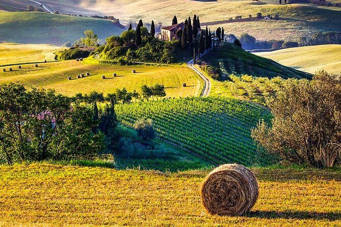 Tuscany Wine & Hills from Florence - Transportation and Group Size