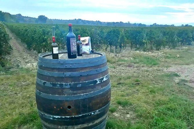 Tuscany Wine & Hills from Siena - Summary: Who Should Book This Tour?