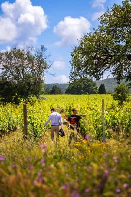 Tuscany: Wine Tasting Experience - A Closer Look at the Experience