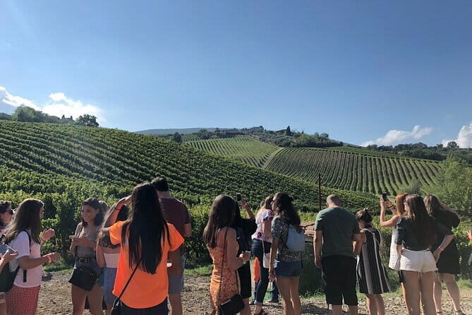 Tuscany Wine Tastings with Panoramic View - Florence to Chianti - Final Words