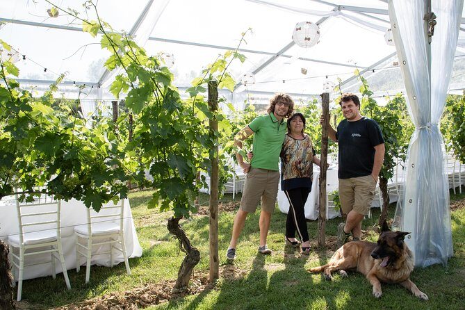 Tuscany Wine Tours in a family winery Podere Pellicciano - Key Points