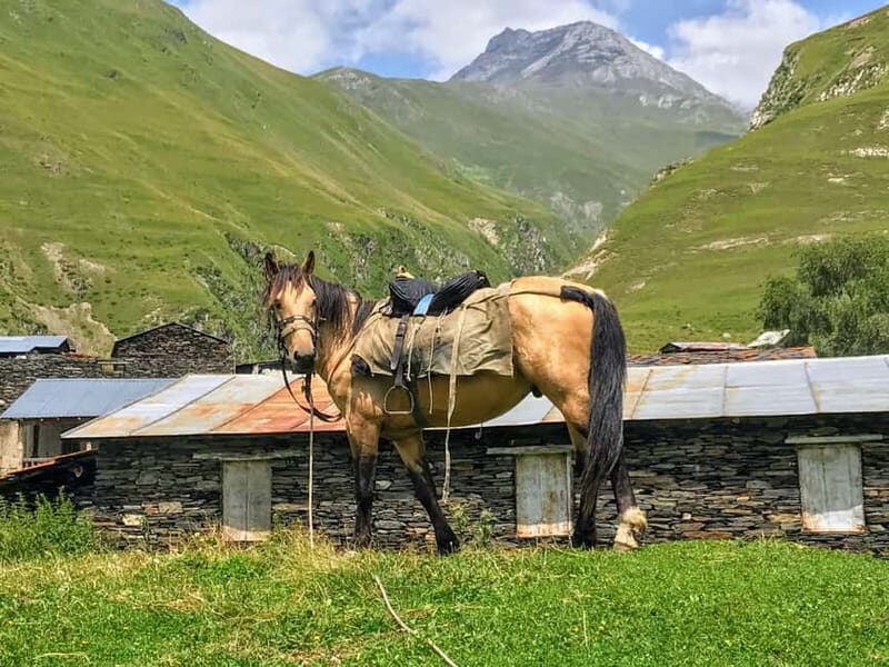 Tusheti Thrill: Limited-Time Mountain Escape 3 day tour - Practical Details and Value