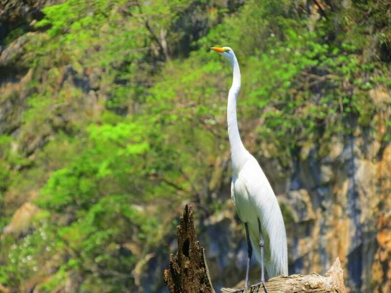 Tuxtla: Sumidero Canyon, San Juan Chamula & Zinacantán Tour - The Sum Up
