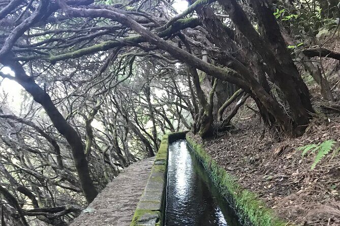 Twenty-Five Fountains Levada walks (private) - Who Will Love This Tour?