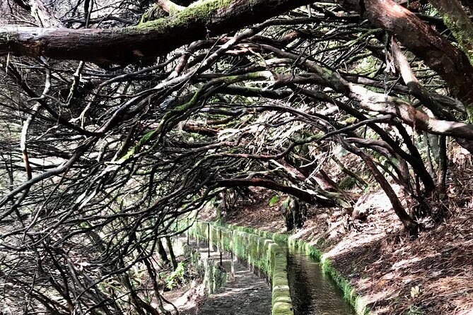 Twenty-Five Fountains Levada walks (private) - FAQs