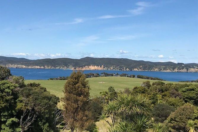 Twharanui- Get away from it all and experience New Zealand at its best - private tour - What Past Travelers Say