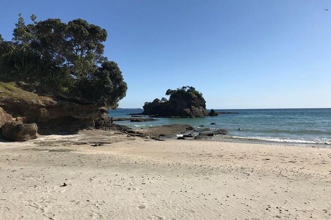 Twharanui- Get away from it all and experience New Zealand at its best - private tour - Who Should Consider This Tour?