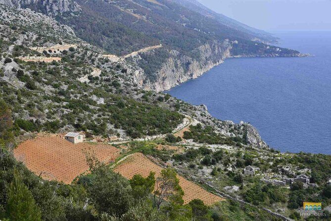 Twice the Wine - Two wineries half day tour, with delicacies - Authentic Experiences and Review Highlights