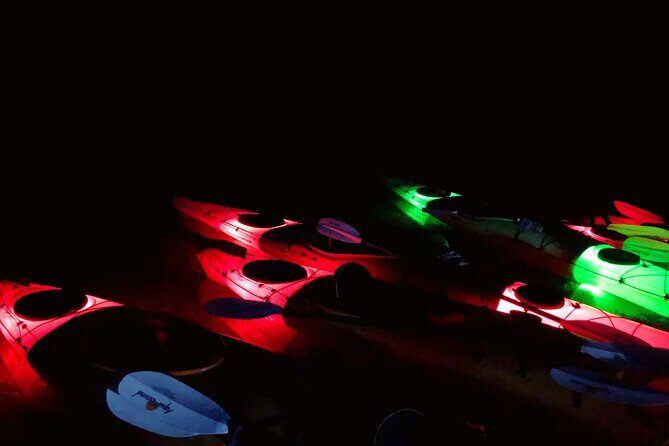 Twilight Black Canyon Kayak Tour with Bonfire Experience - The Itinerary in Detail