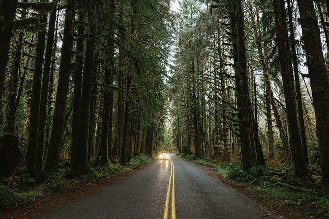Twilight Forks Washington Tour - Who Should Consider This Tour?