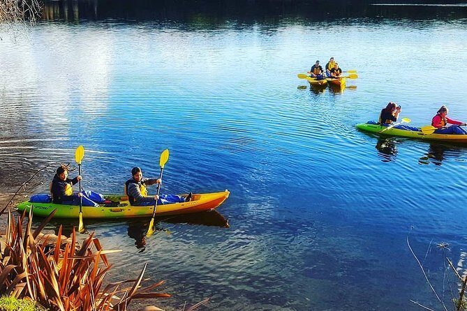 Twilight Glowworm Kayak Tour  Lake Karapiro - A Deep Dive into the Tour Experience