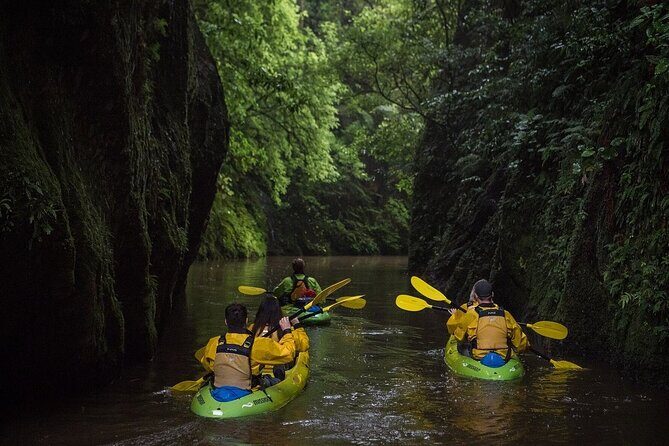 Twilight Kayak Glowworm Tour with Stargazing - Key Points
