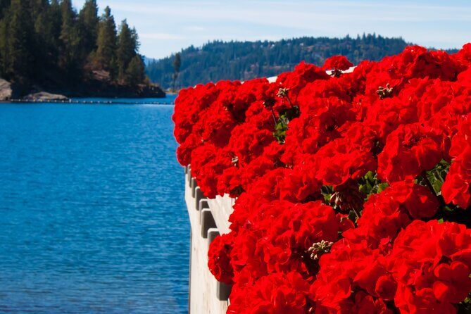 Twilight Rydables Guided Tours Evening Adventure in Coeur d'Alene - FAQs