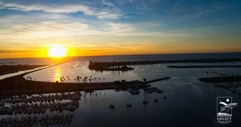 Twilight Tour with San Diego Natural History Museum Whalers - Key Points
