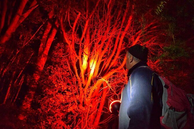 Twilight Wild Kiwi Bird Encounter Private Tour - A Closer Look at the Experience