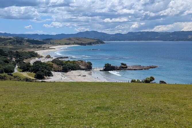 Twilight Wild Kiwi Bird Encounter Private Tour - The Sum Up
