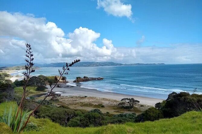 Twilight Wild Kiwi Bird Encounter Private Tour - FAQ