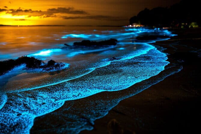 Twiligth Sea Canoe and Bioluminescent Plankton - Key Points
