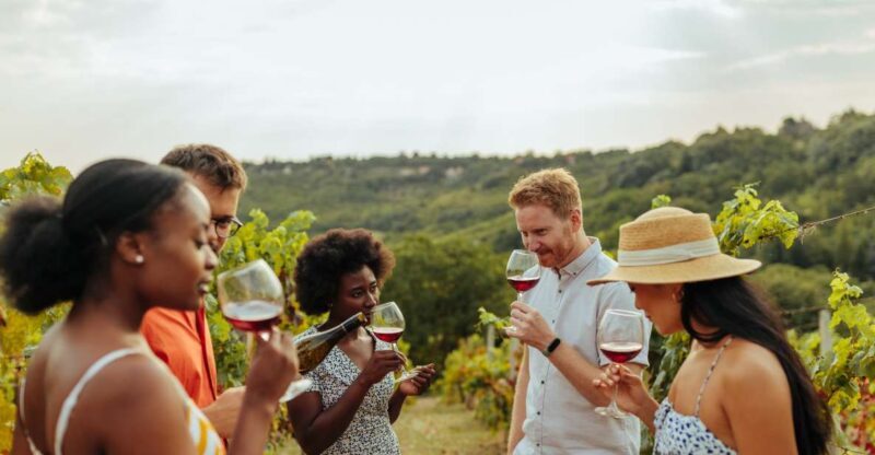 Twin Falls: Guided Half-Day Scenic Tour and Wine Tasting - A Detailed Look at the Experience