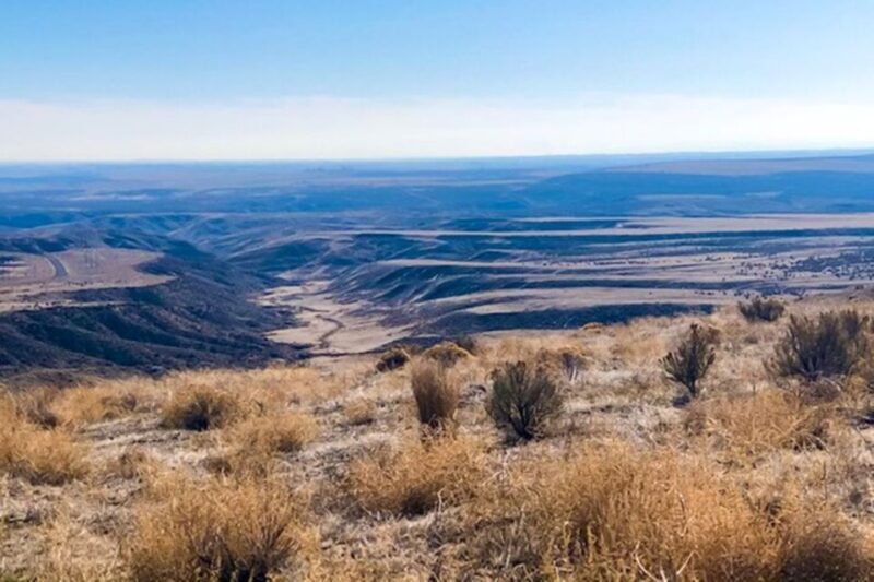 Twin Falls: Off the Beaten Path Guided Half-Day Tour - An In-Depth Look at the Tour Experience