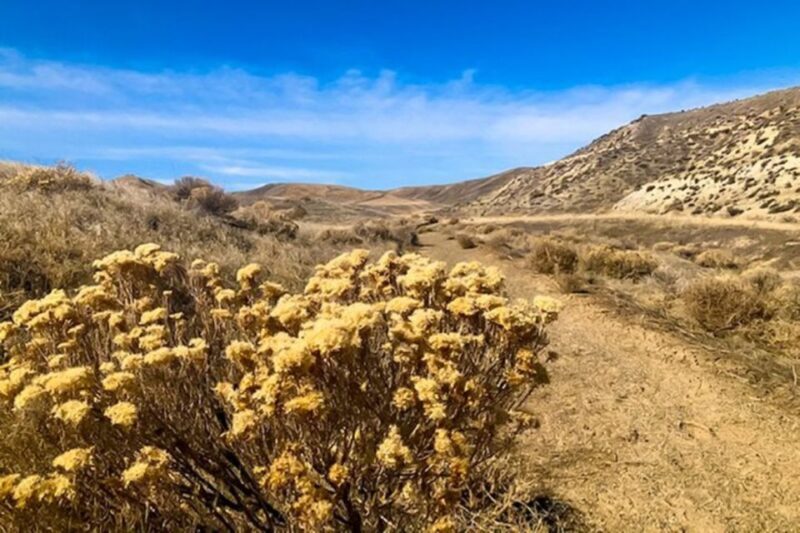 Twin Falls: Off the Beaten Path Guided Half-Day Tour - FAQs