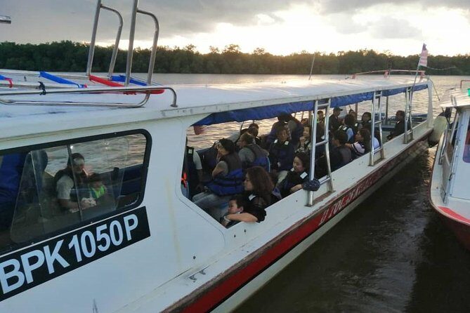Twinkling Kuala Selangor Firefly Boat Tour from Kuala Lumpur - Practical Tips for Travelers