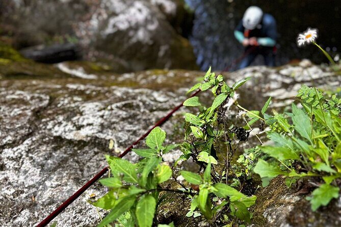 Two-day canyoneering experience in Cañon del Infiernillo - Who Will Enjoy This Tour?