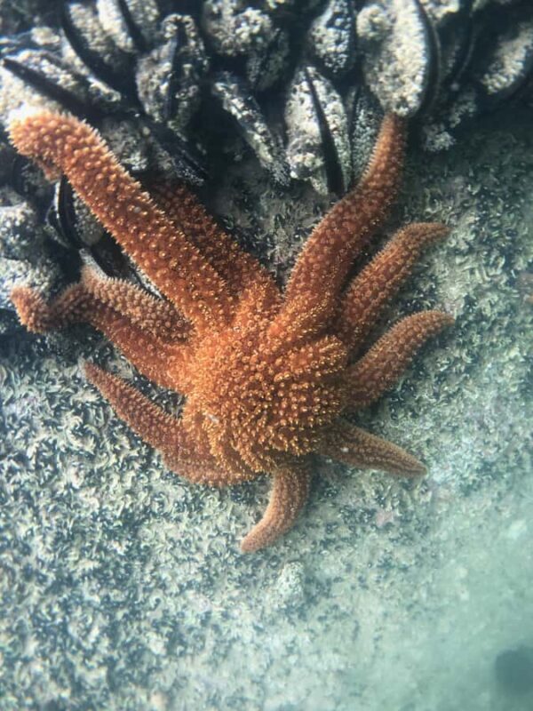 Two Day Classic - A Closer Look at the Logistics