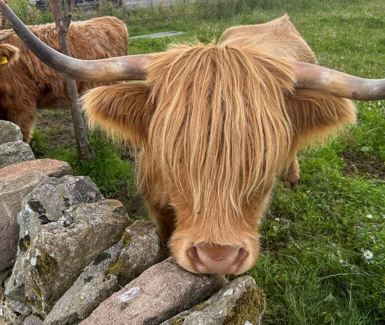 Two Day Taster Tour of Skye and the Highlands - Key Points