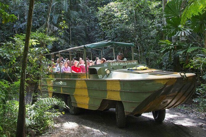 Two-Days Kuranda Rainforestation + Green Island Great Barrier - The Journey Begins: A Closer Look at Day 1