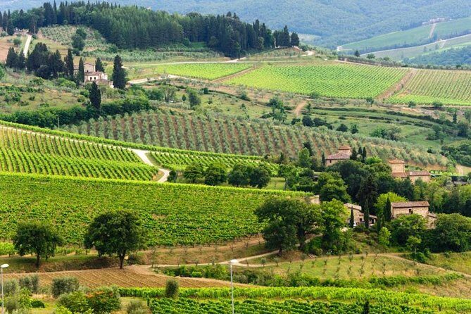 Two days of Tuscany discovering the Nobile, Brunello, Chianti area - An In-Depth Look at the Itinerary