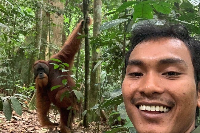 Two days orangutans adventure in Gunung Leuser - Final Words