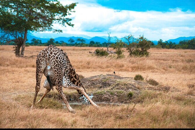 Two Days Safari by Train - Frequently Asked Questions