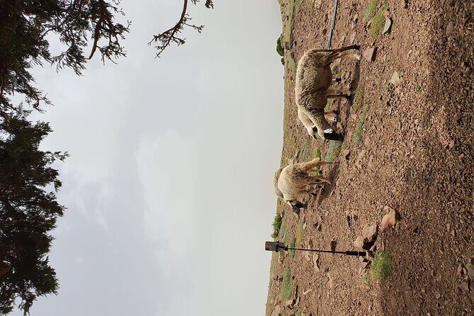 two days valley trek in the Atlas mountains - FAQs