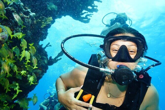 Two Dives and Class for Begginers Divers in Cancun - Introduction