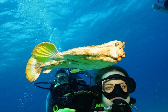 Two Dives and Class for Begginers Divers in Cancun - The Experience in Practice: What Travelers Say