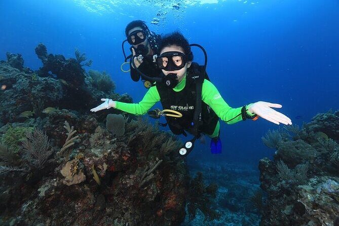 Two Dives and Class for Begginers Divers in Cancun - FAQs