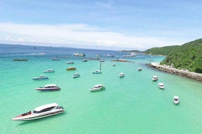 Two Fun Dives for Certified Divers in Koh Kood or Koh Rang - Who Is This Tour Best For?
