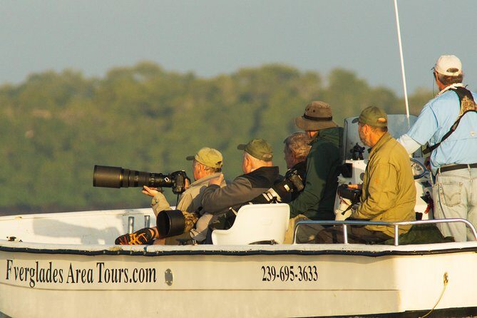 Two-Hour Everglades Dolphin, Manatee and Birding Boat Tour - Introduction
