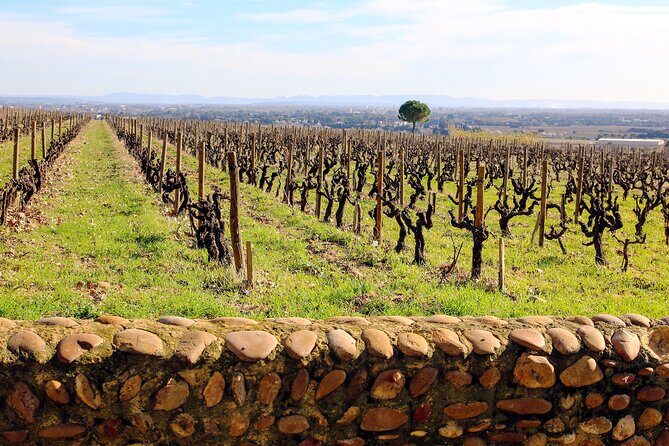 Two intensive days discover exceptional wines of the Rhône valley - FAQ