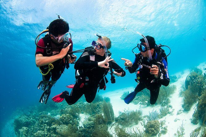 Two reef discovery dives with professional instructor (no experience necessary) - Frequently Asked Questions