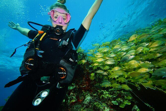 Two Reefs For Certified Divers in Cancun - Key Points